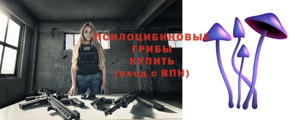 мдма Богданович