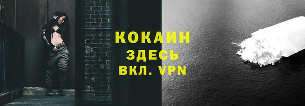 трава Белокуриха