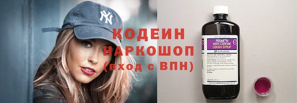 трава Белокуриха