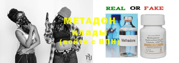 трава Белокуриха