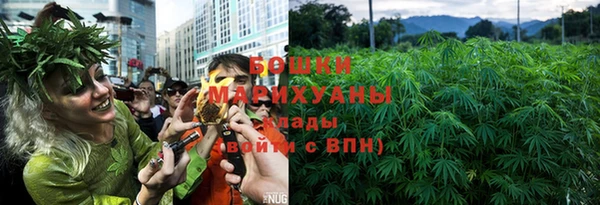 трава Белокуриха