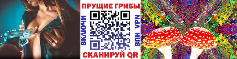 Галлюциногенные грибы GOLDEN TEACHER  Петрозаводск 